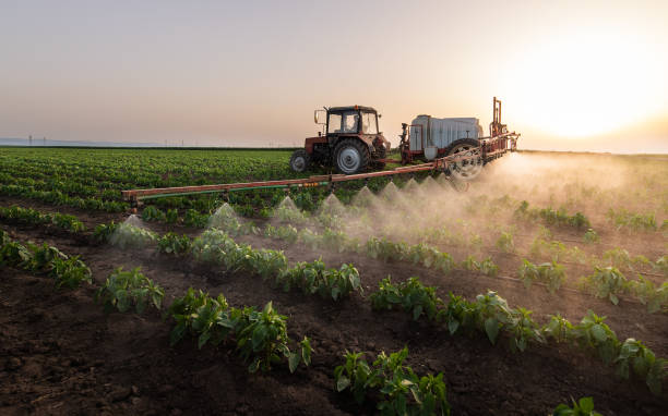 Best Pest Removal Services  in Chubbuck, ID