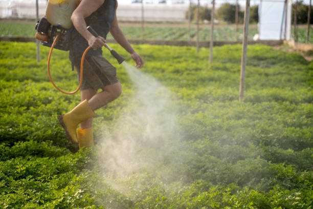 Best Wildlife Control Services  in Chubbuck, ID