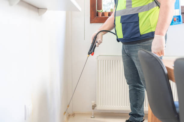Best Ant Control Services  in Chubbuck, ID