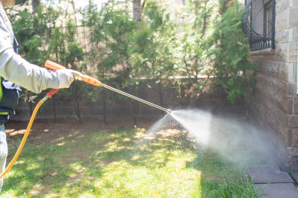 Best Insect Control  in Chubbuck, ID