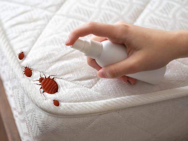 Professional Pest Control in Chubbuck, ID